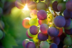 Значение сна виноград