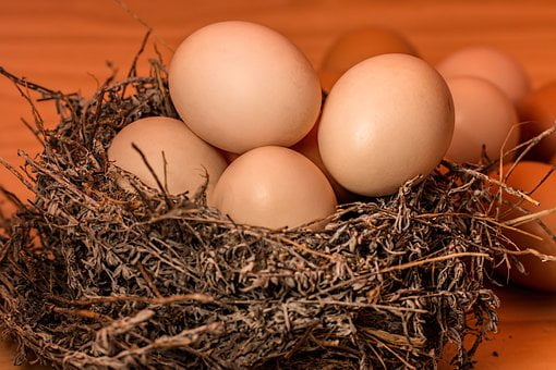 Сонник яйца: значение в зависимости от сюжета