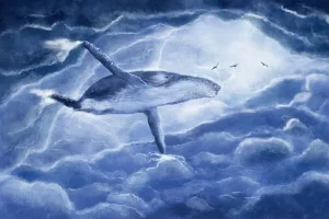 Приснился кит: трактовка сна про кита